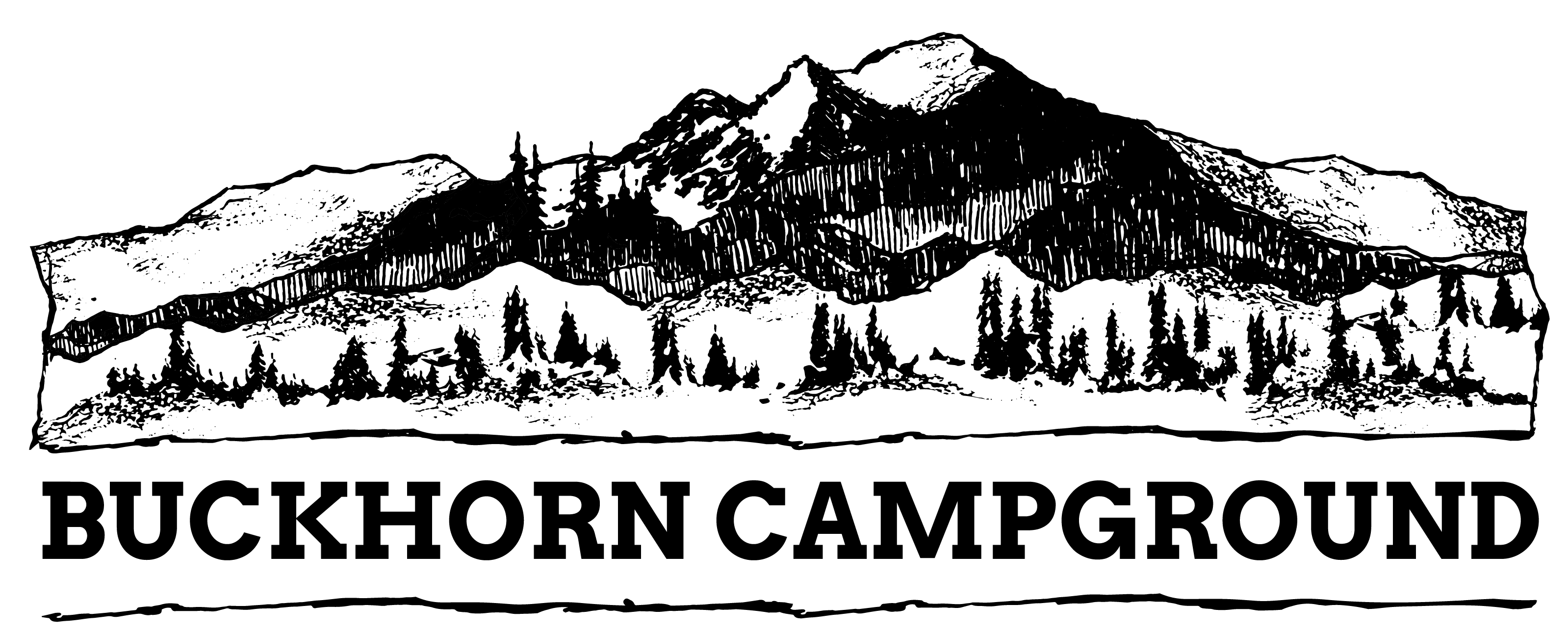 BUCKHORN CAMP INC logo
