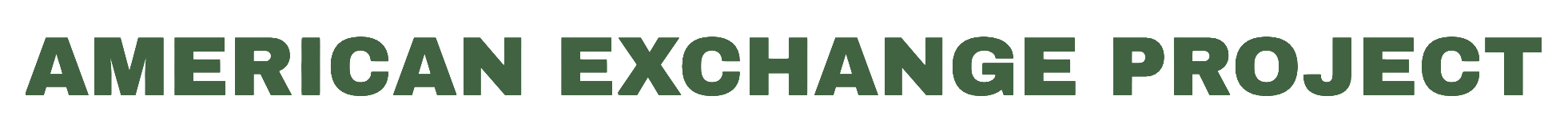 American Exchange Project logo