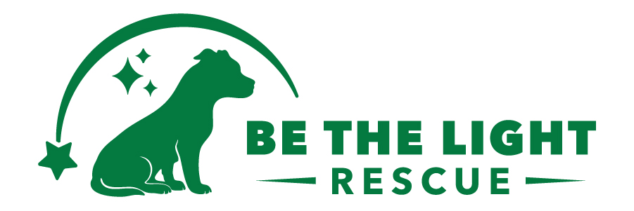 Be The Light Rescue logo