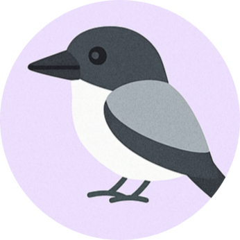 Photo from Carly Mulheran