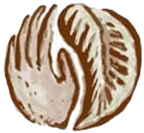 Native Future logo
