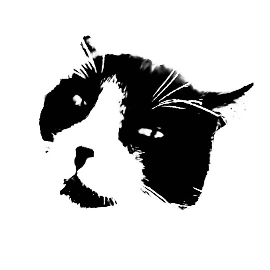 streetcat logo
