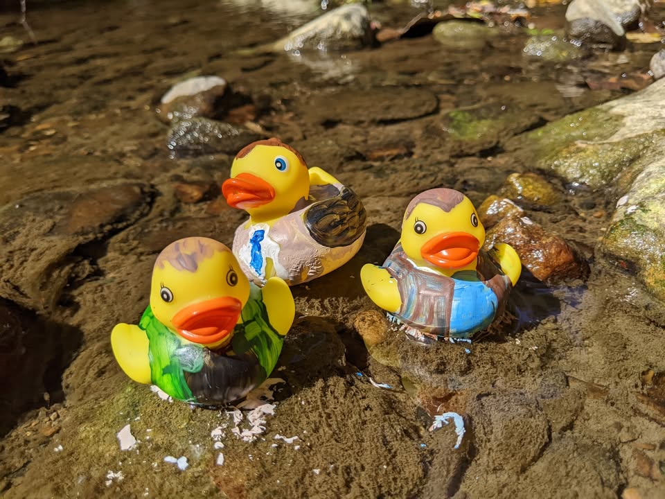 Photo from Team Pirates O Fmad Dness