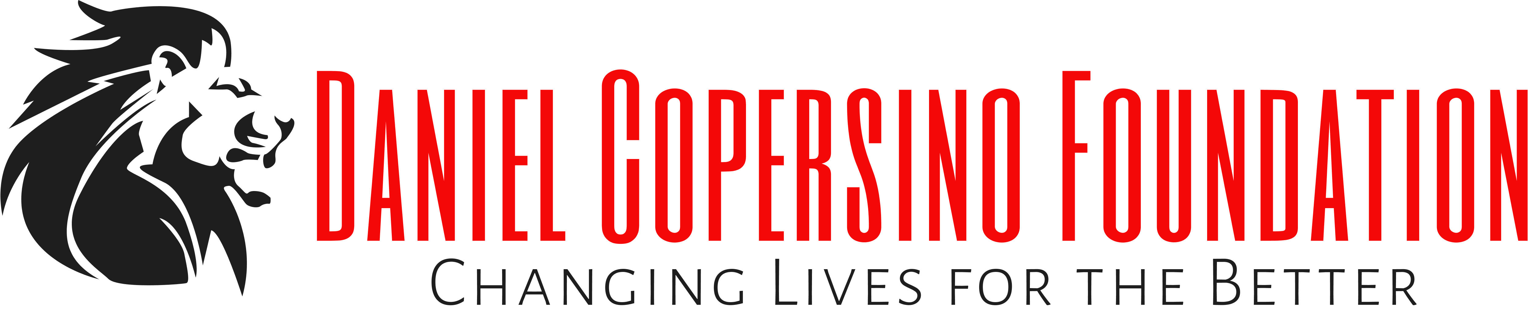 Daniel Copersino Foundation, Inc. logo