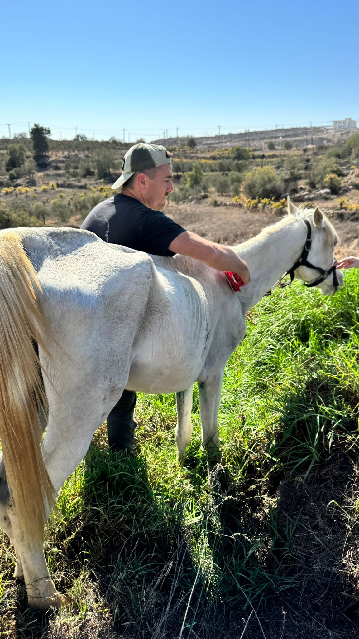Photo from East Midlands Friends Of Israel