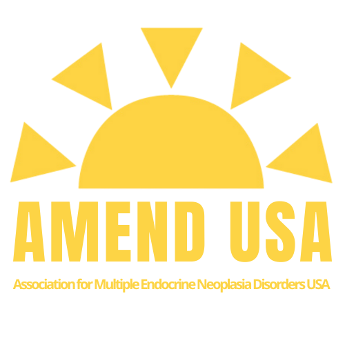 AMEND USA logo