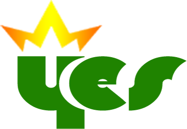 Yes-Marketingroup (YES-MG) logo