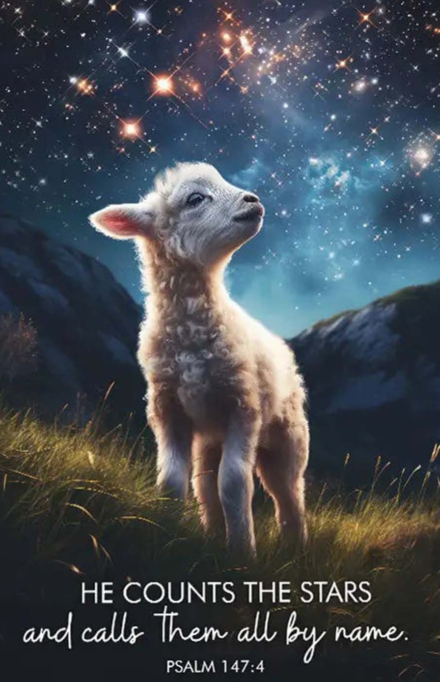 Photo from Mary Ellen Winski