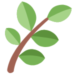 🌿