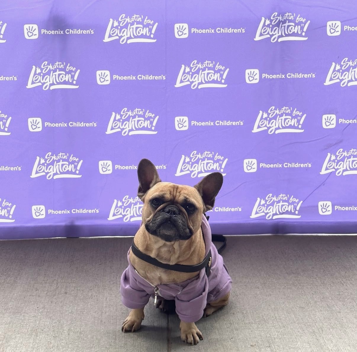 Photo from Butter Pig Crouse