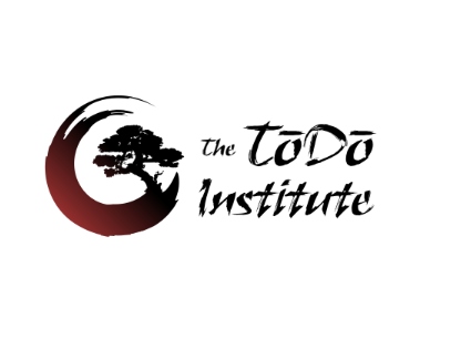 TODO INSTITUTE logo