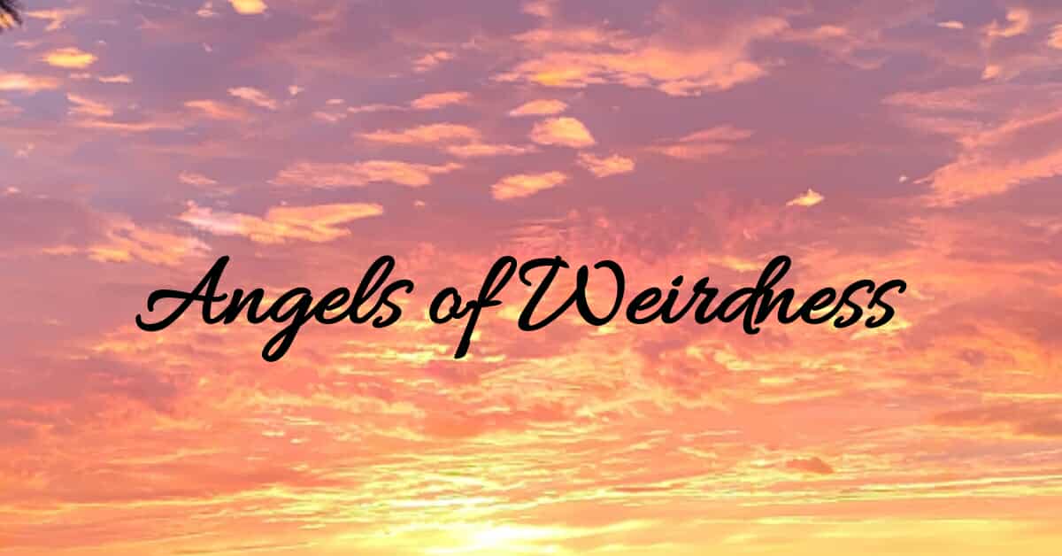 Photo from Angels Of Weirdness