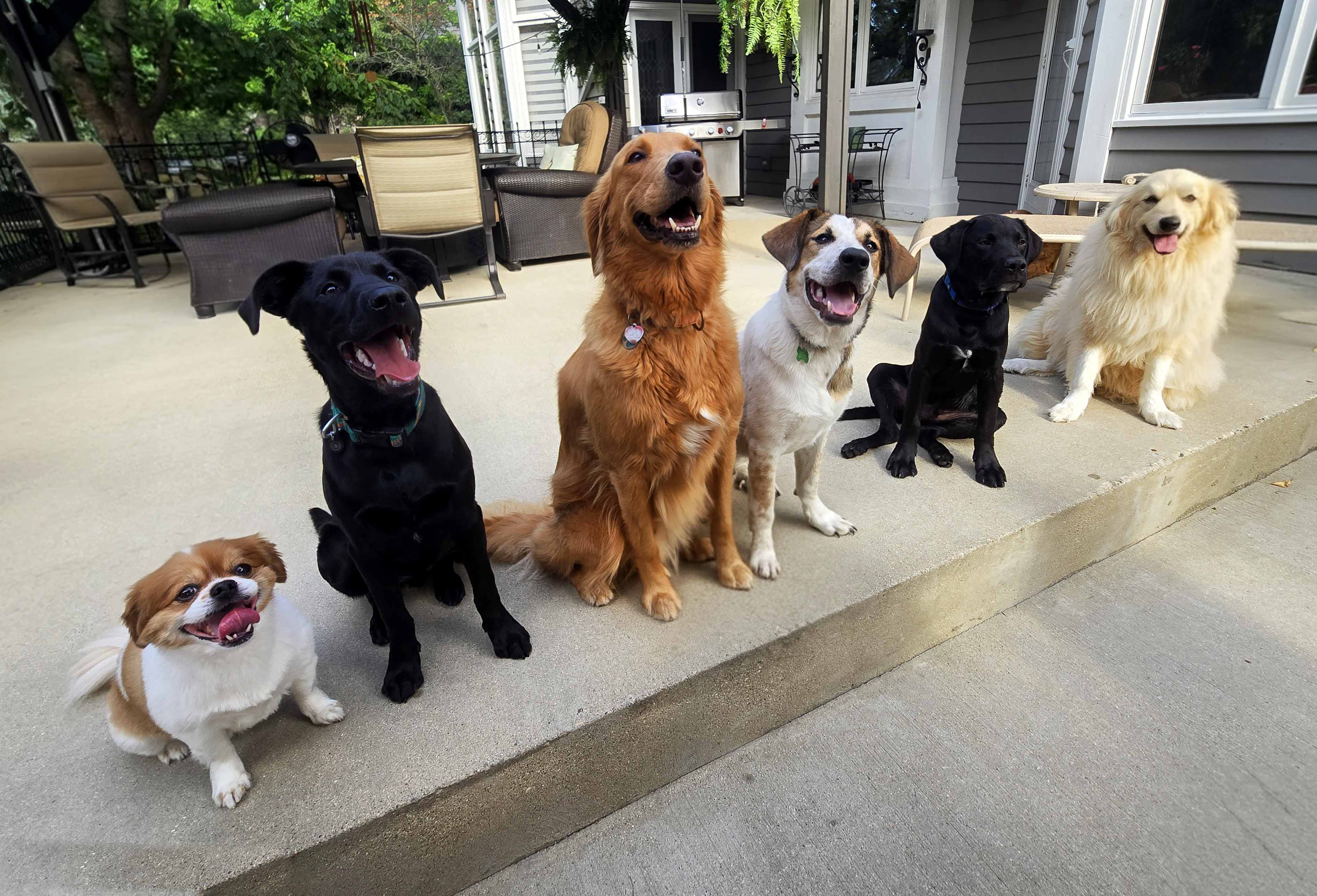 Photo from Doreen Wos