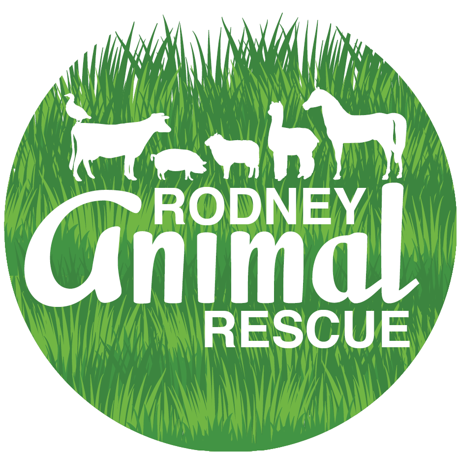 Rodney Animal Rescue Trust logo