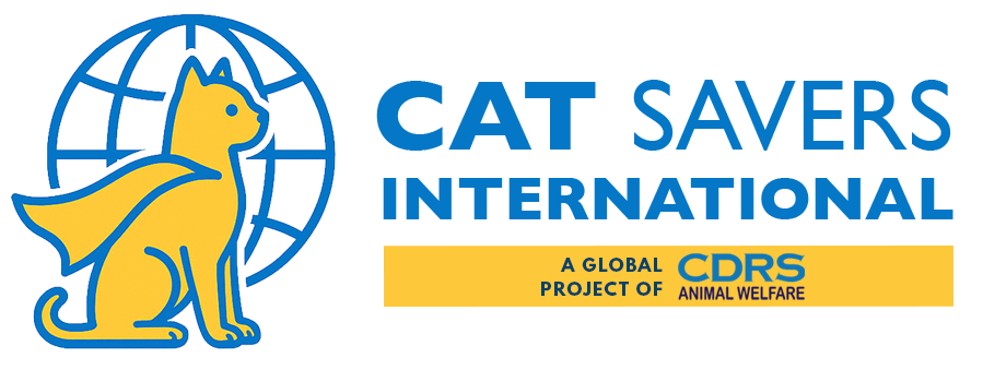 Comprehensive Disaster Response Services (CDRS) logo