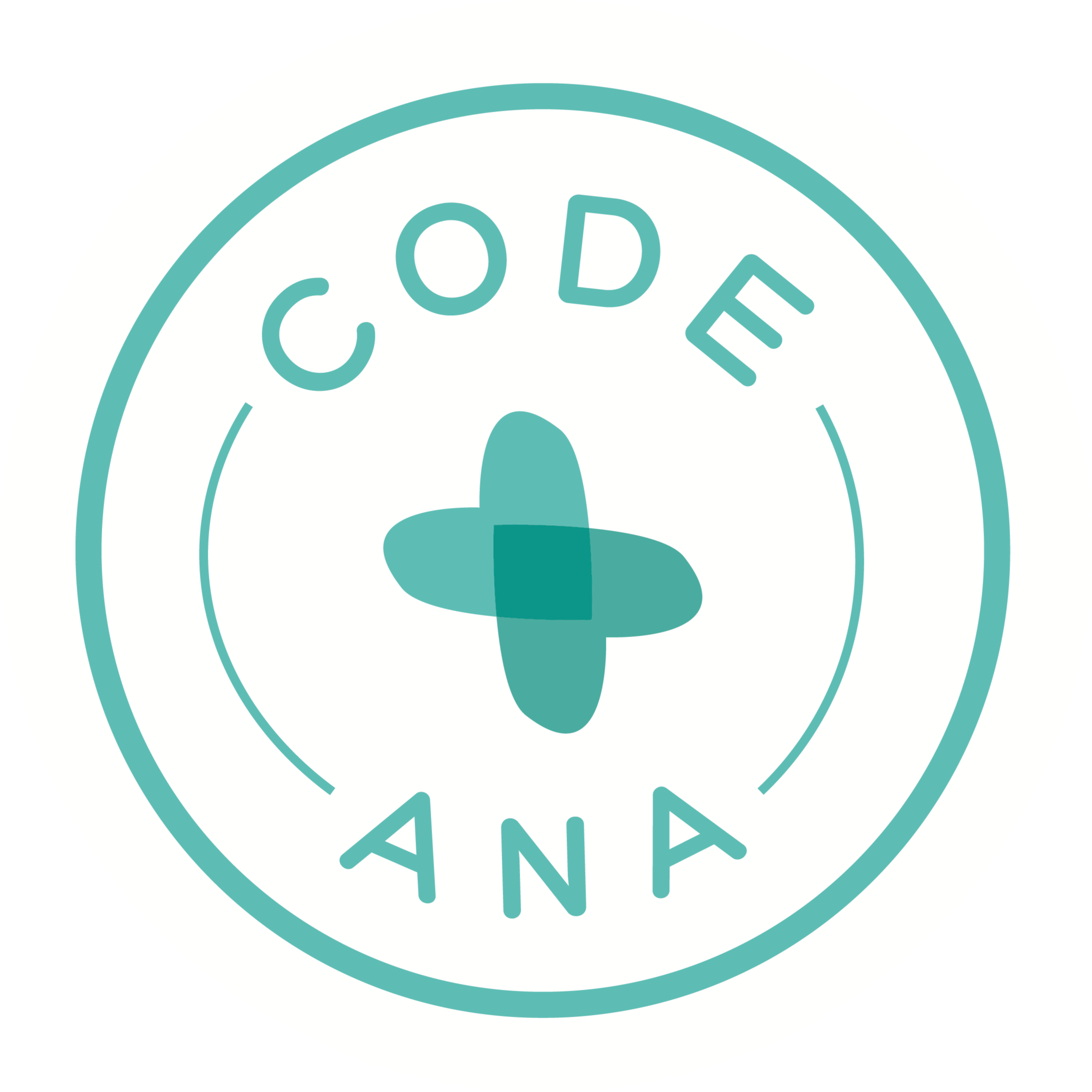 Code Ana logo