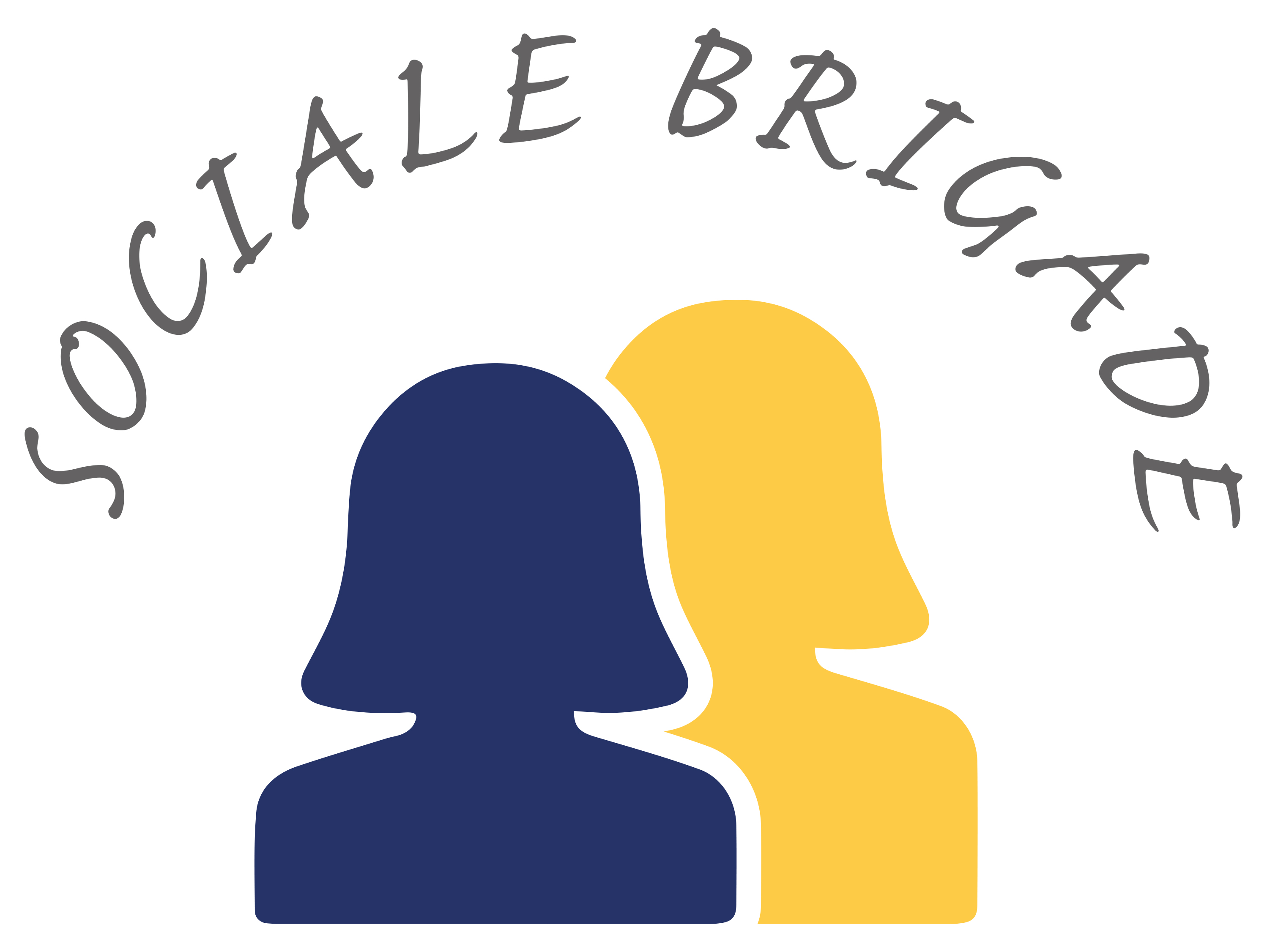 Stichting De Sociale Brigade logo