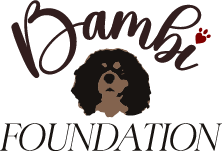Bambi Foundation Albania logo