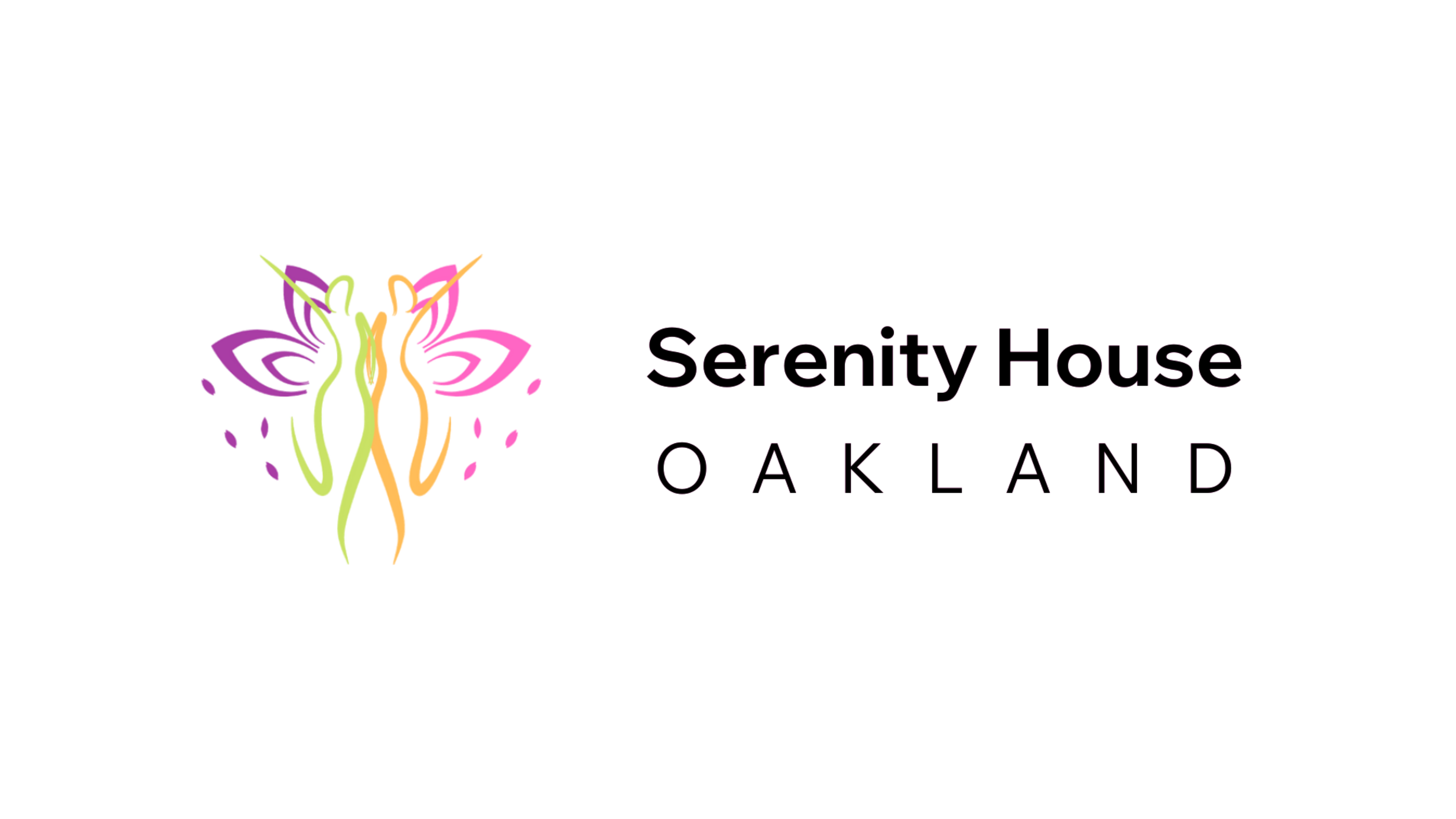 Sister-to-Sister 2 logo