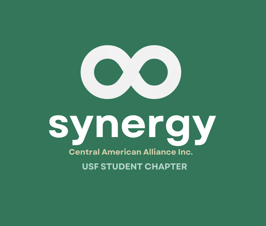 Synergy Central American Alliance INC. logo