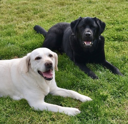 Photo from Career Change Club