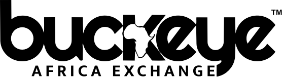 BUCKEYE AFRICA EXCHANGE logo