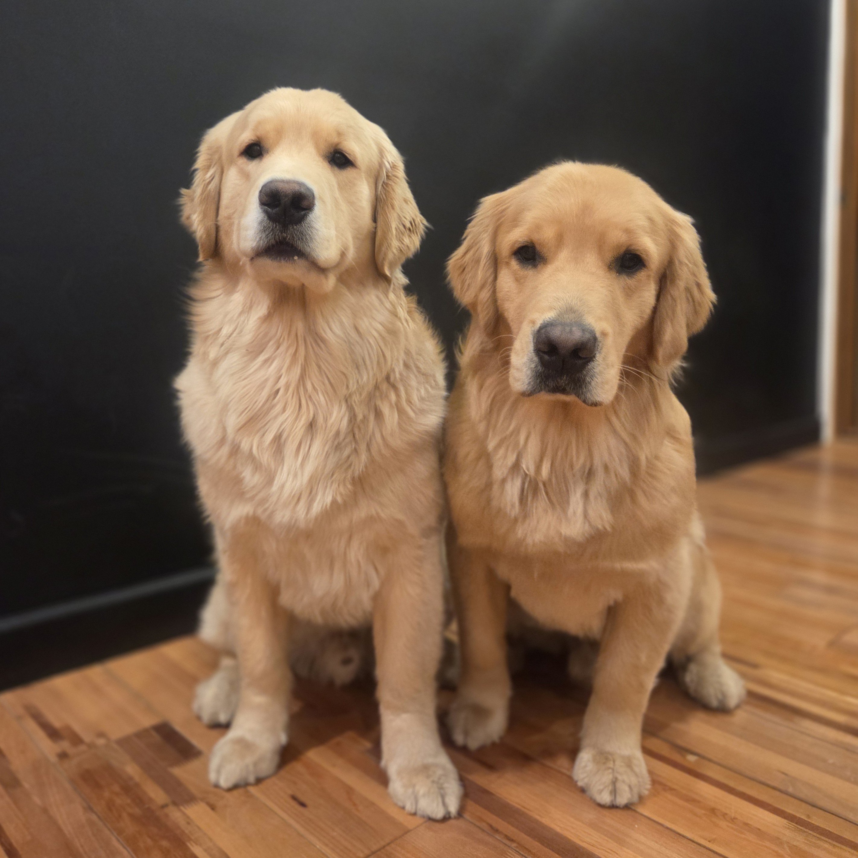 Photo from Bert & Tom @ Red Ribbon Accounting