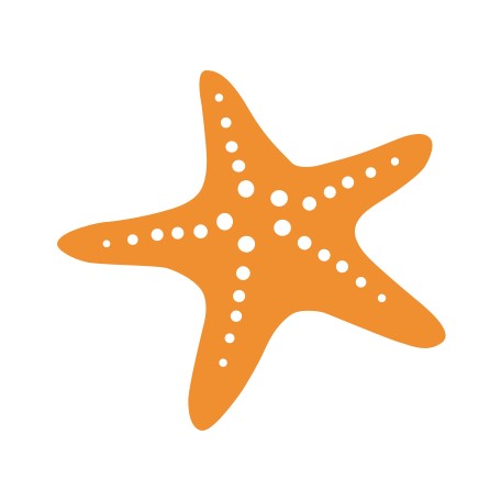 Photo from Starfish Pakistan