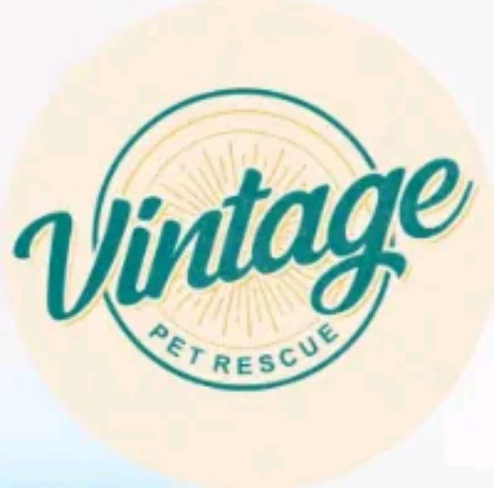 vintagepetsrescue logo