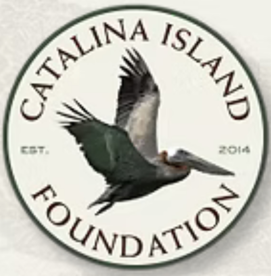 CATALINA ISLAND FOUNDATION logo