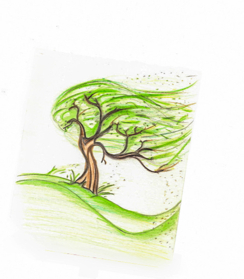 Breath of the Almighty Ministries Inc logo