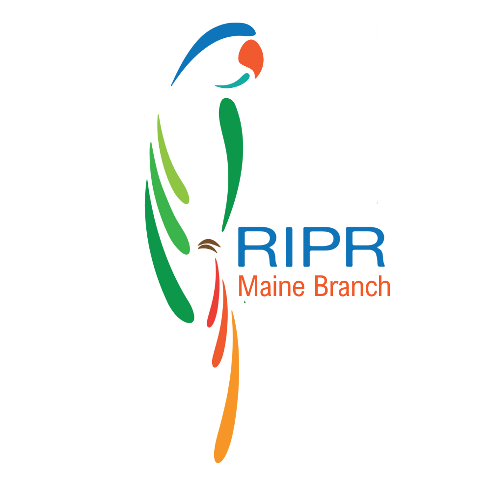 Rhode Island Parrot Rescue - Maine Branch logo