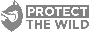 Protect the Wild Protect the Wild