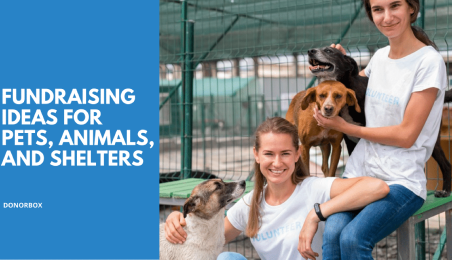 17 Effective Animal Shelter Fundraising Ideas