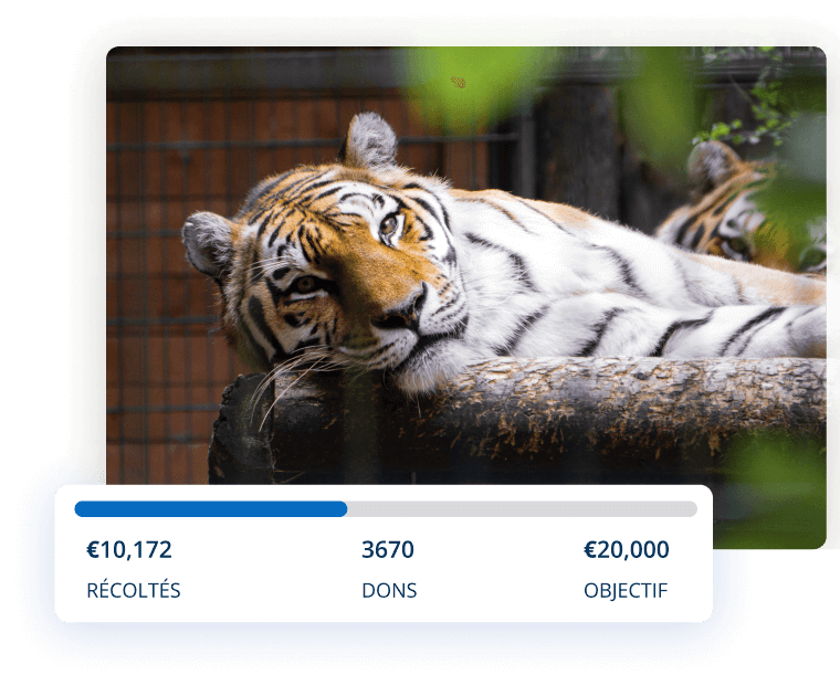 Fonds d'assistance médicale