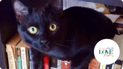 For the Love of Alex case study