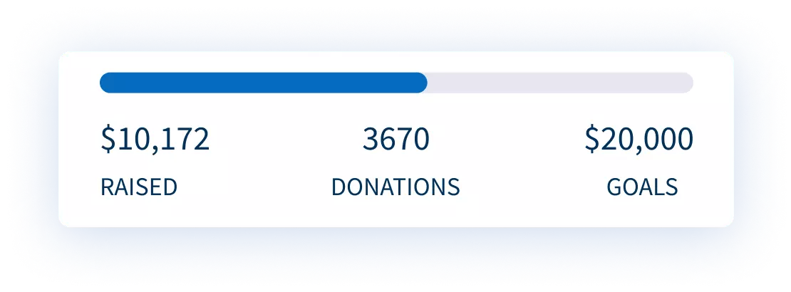 Goal meter Goal meter