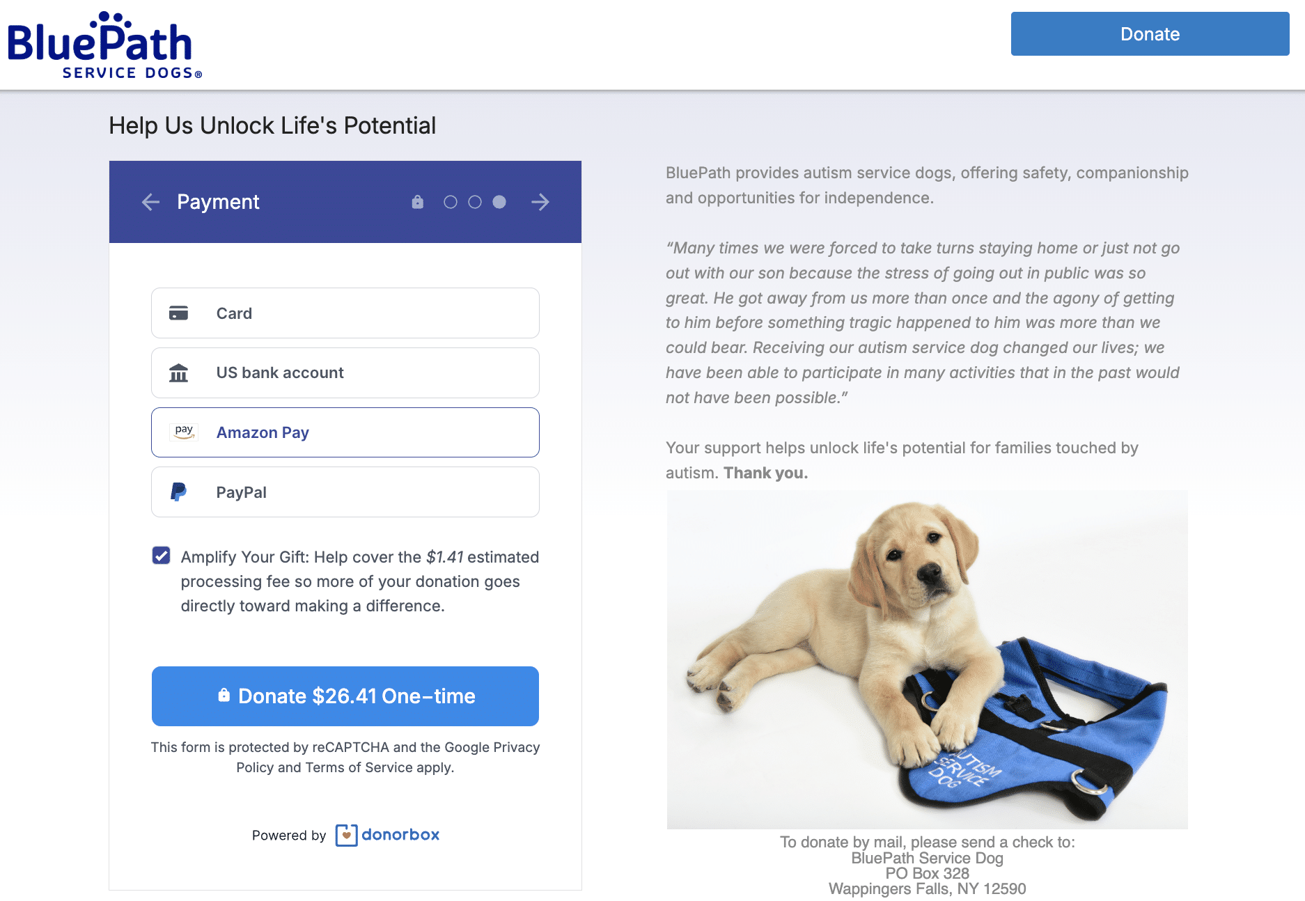 Screenshot of an organization's donation page with a form featuring digital wallets for increased conversion rates