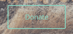 Yola donations