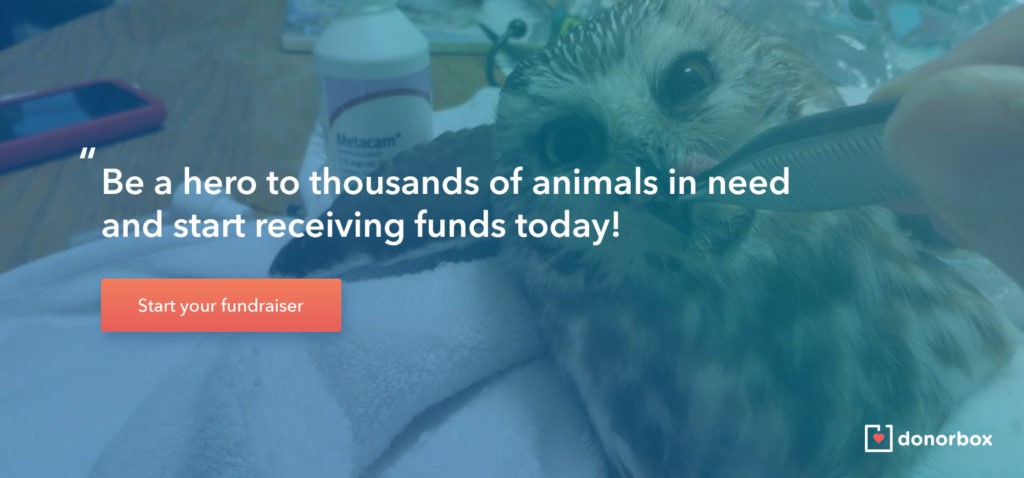 16 Effective Animal Shelter Fundraising Ideas Pet Fundraiser Ideas