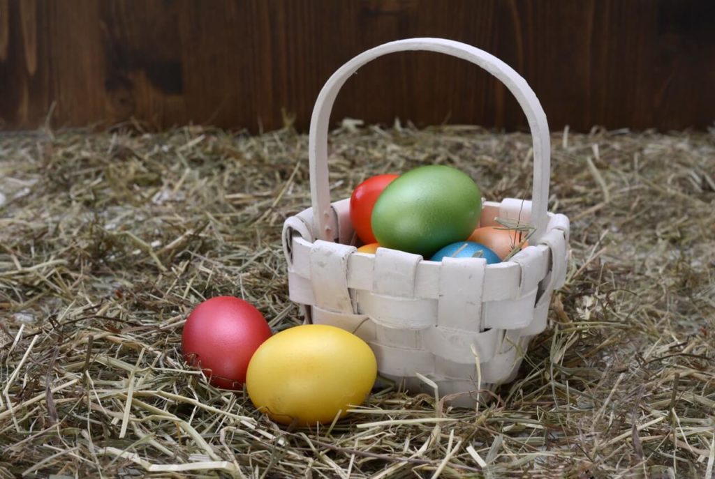 Easter egg - school fundraising