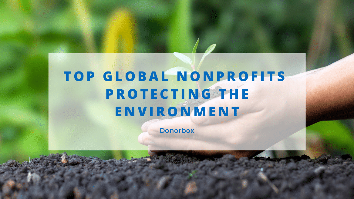 nonprofits protecting the environment
