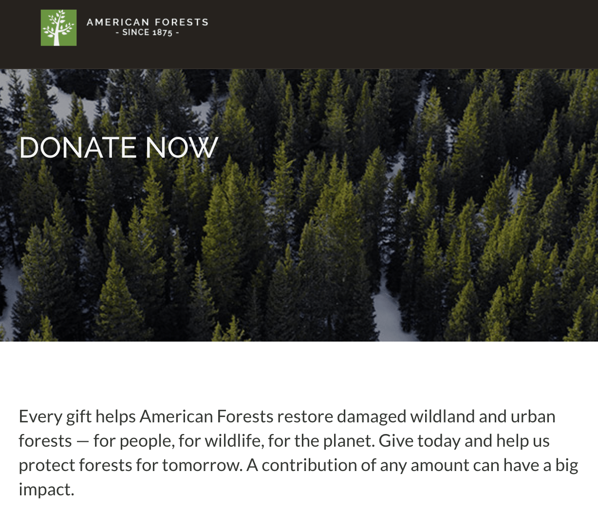 Giving Tuesday Tips with American Forest Landing Page