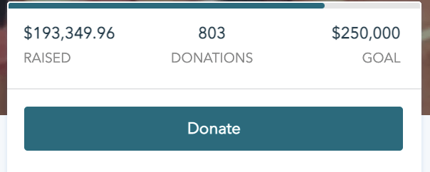 Use goal meter to boost online donations