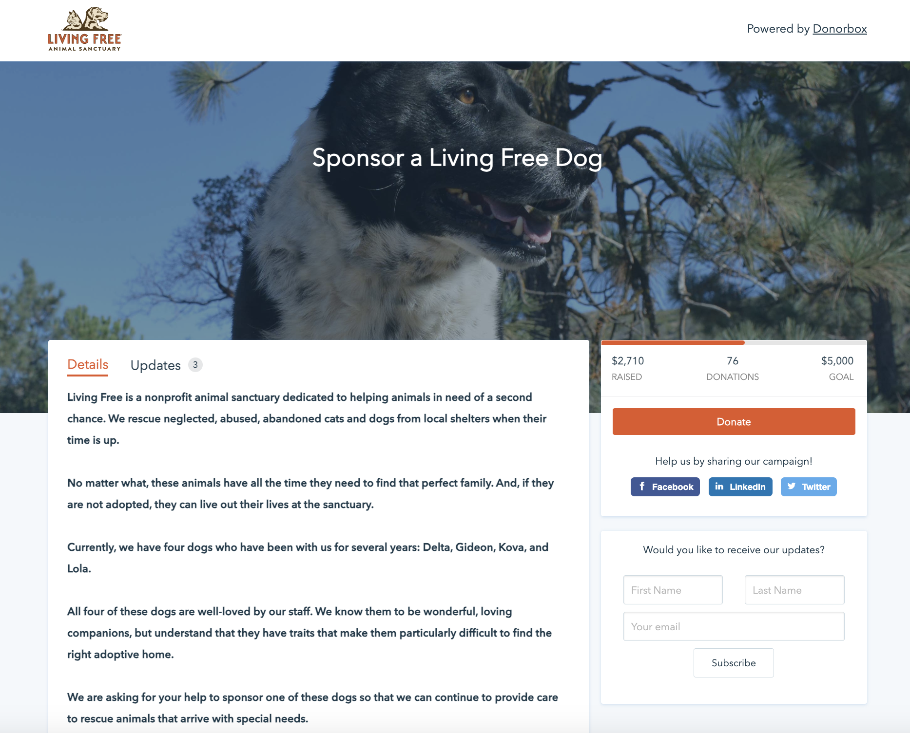 A crowdfunding example for animal rescue fundraising. 