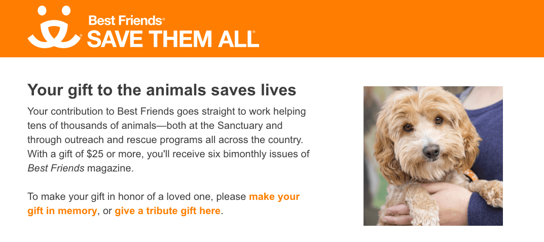 17 Best Animal Charities You Can Donate To