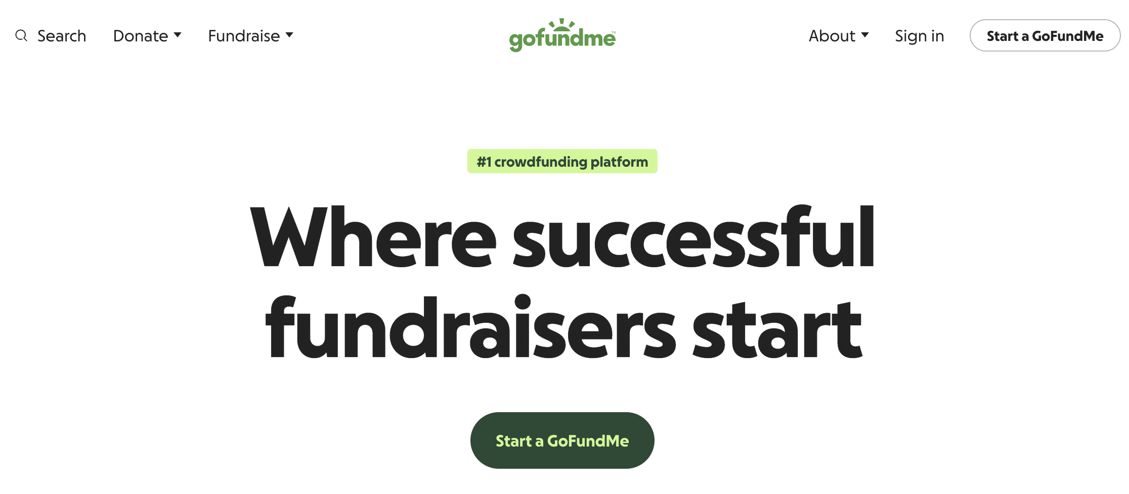 Screenshot of the GoFundMe homepage banner