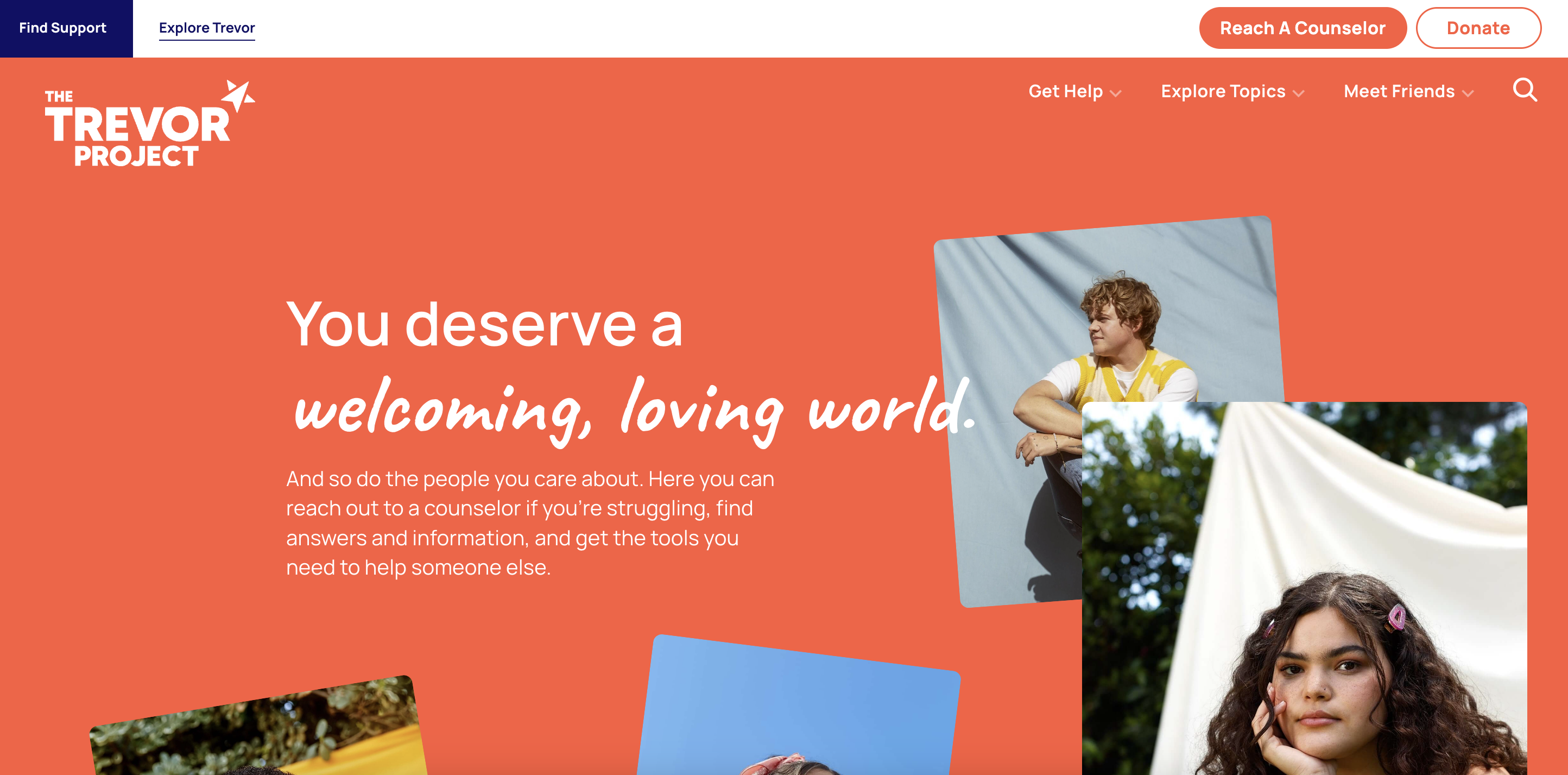 Screenshot of the Trevor Project's homepage. 
