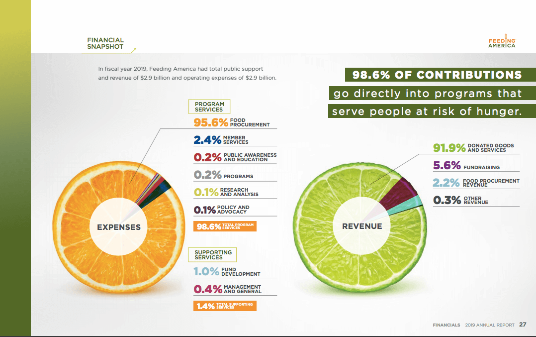 Screenshot of a nonprofit's annual report showing professional design elements