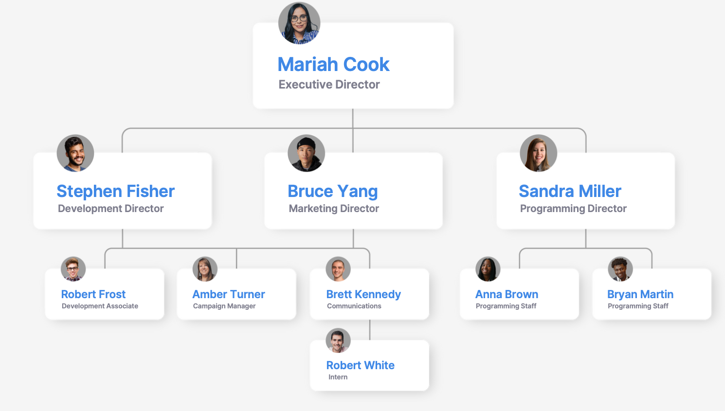 Example of a cross-functional organizational chart. 